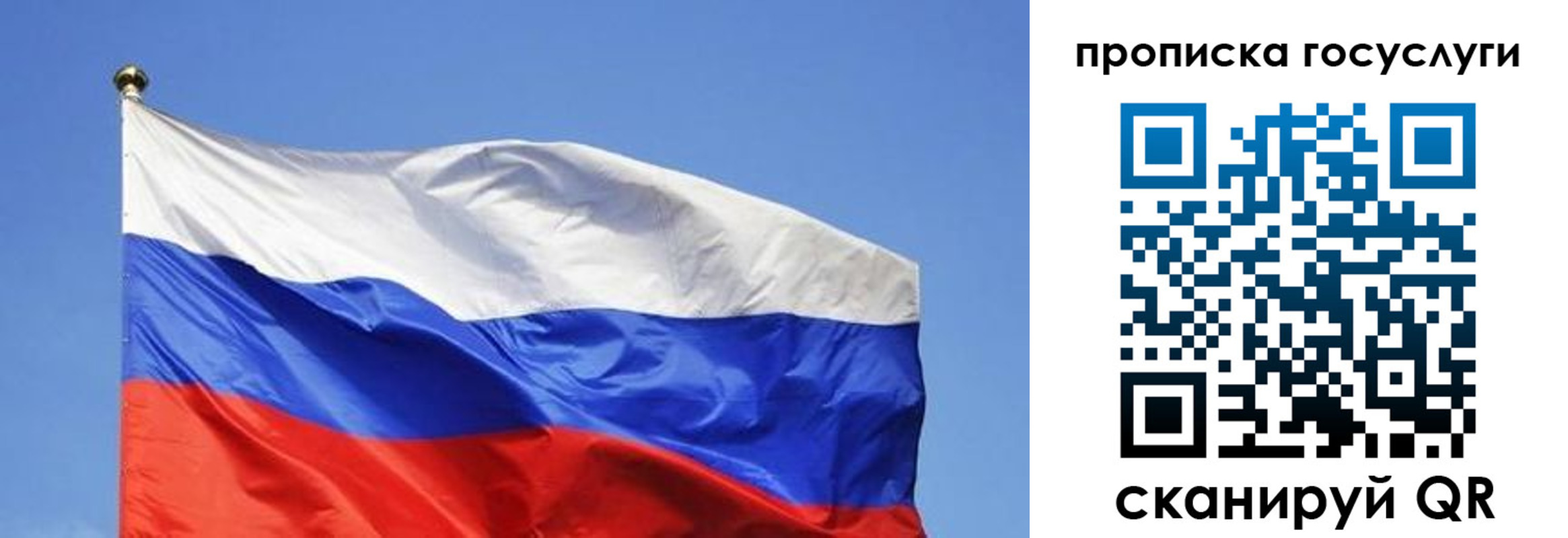 пропишу в квартире в Боре